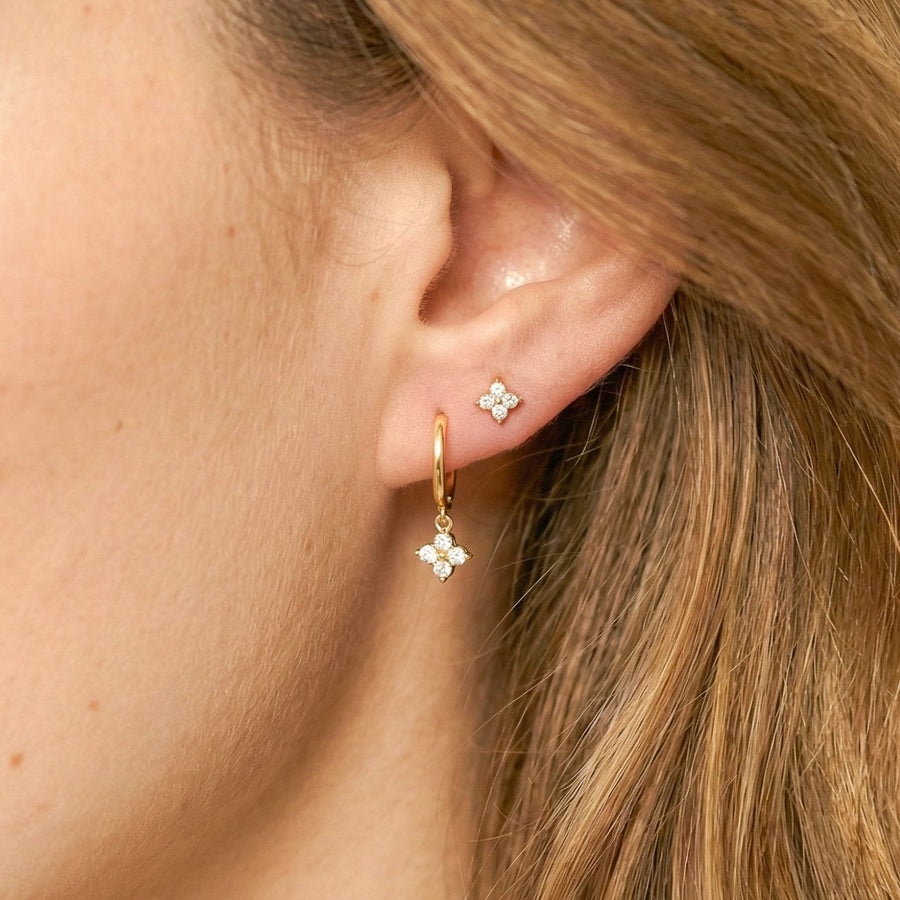 Lorraine Hoops